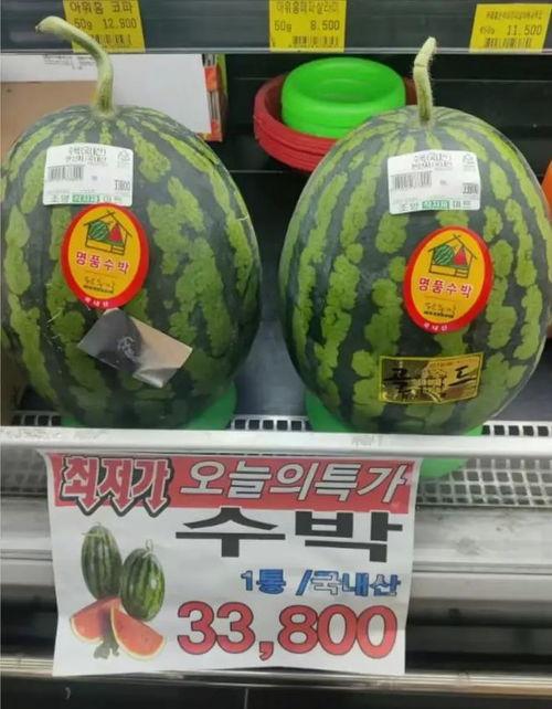 网红大瓜直播 热门大瓜每日必吃,热门大瓜每日必吃，带你领略网络风云